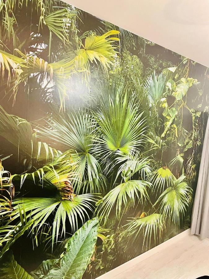 La Saveur Tropicale-Proche Centre Ville-Aeroport Бове Экстерьер фото